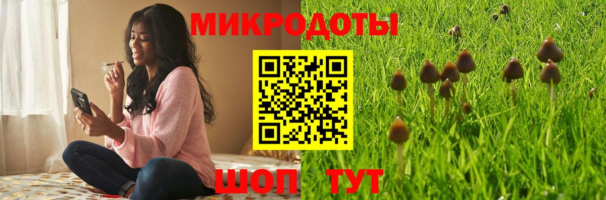 Калач-на-Дону  Псилоцибиновые грибы Cubensis  продажа наркотиков  Вход с VPN 
